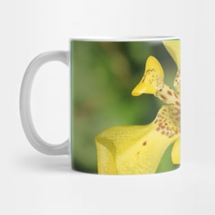 Yellow lily blossom on bright green background Mug